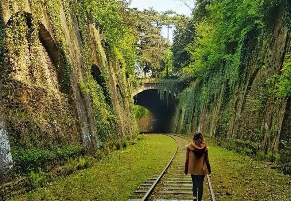 Tout savoir sur la Petite Ceinture