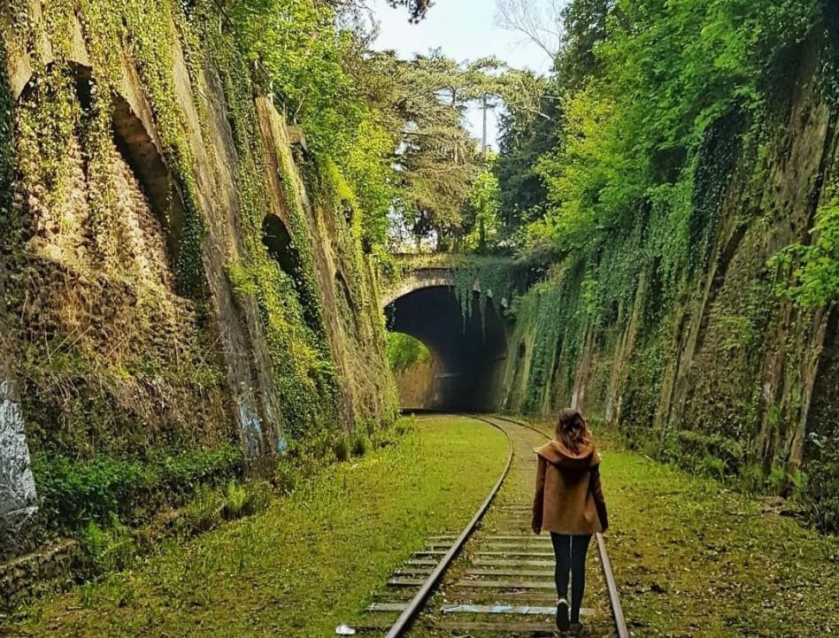Tout savoir sur la Petite Ceinture