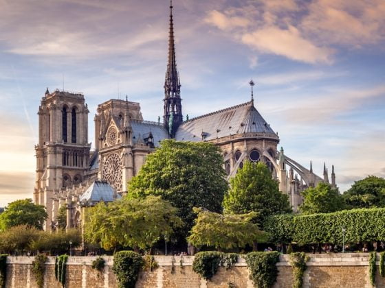 cathedrale notre dame paris reconstruction