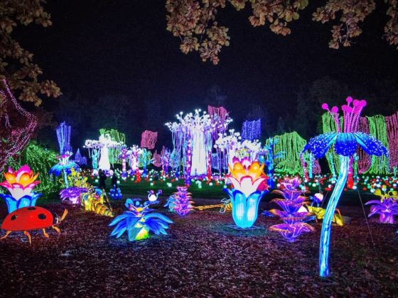 Illuminations Thoiry