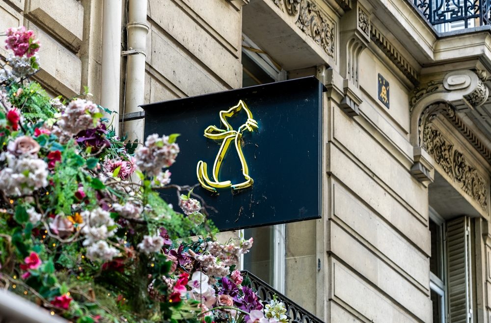 Enseigne de chat, Paris © Romuald_KL