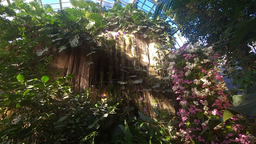 Mille et une orchidées - Grandes Serres