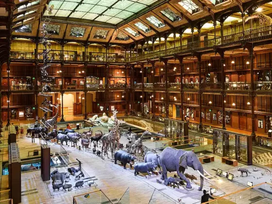 La Grande Galerie de l'Evolution à Paris © Joe deSousa